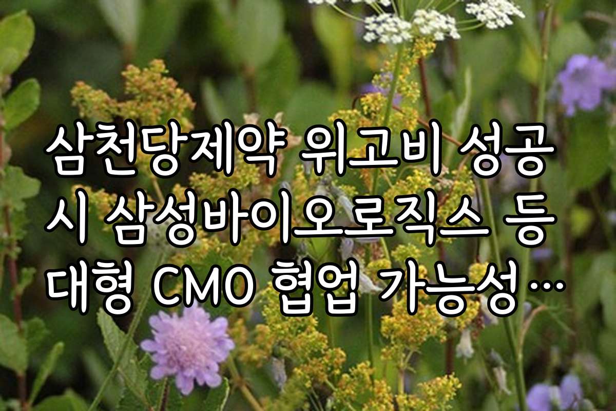 삼천당제약 위고비 성공 시 삼성바이오로직스 등 대형 CMO 협업 가능성 타진