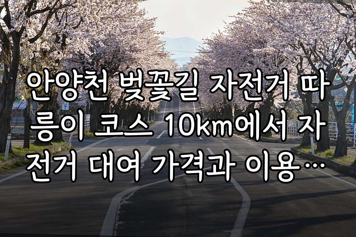 안양천 벚꽃길 자전거 따릉이 코스 10km에서 자전거 대여 가격과 이용 방법 안내