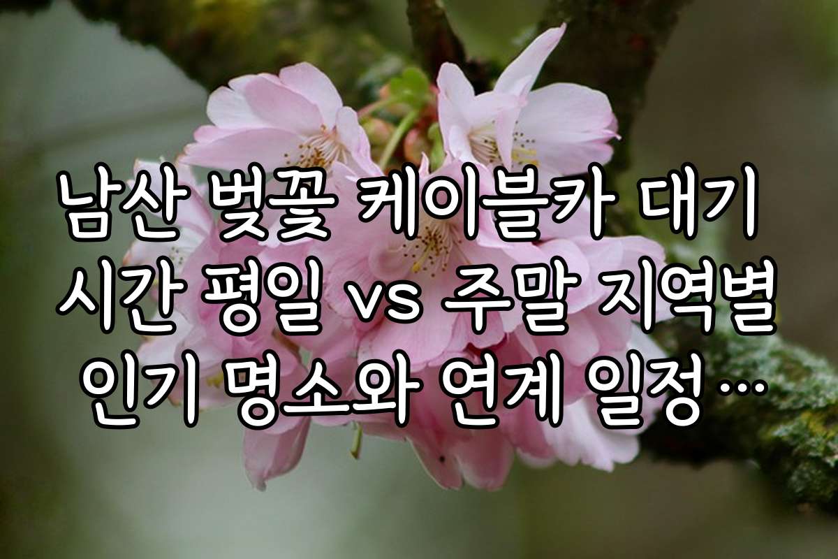 남산 벚꽃 케이블카 대기 시간 평일 vs 주말 지역별 인기 명소와 연계 일정 추천 정보를 알려드려요