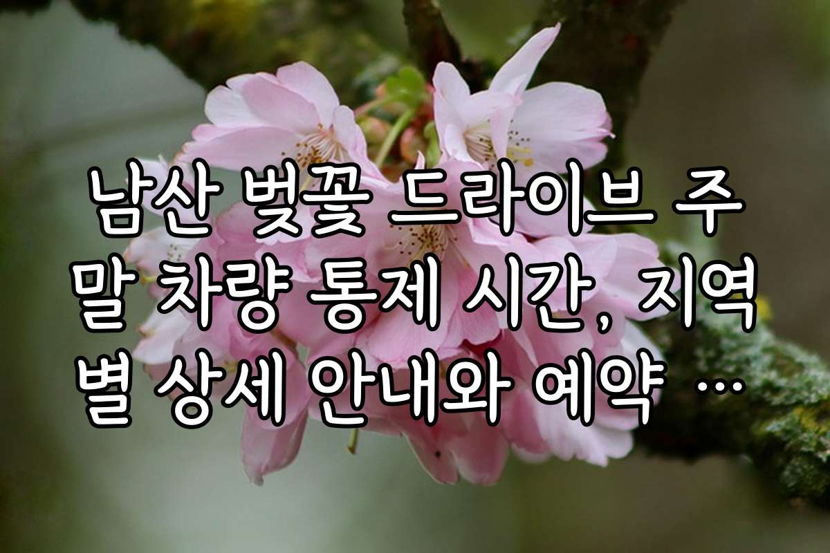 남산 벚꽃 드라이브 주말 차량 통제 시간, 지역별 상세 안내와 예약 방법 남산 벚꽃 드라이브 주말 차량 통제 시간, 지역별 상세 안내와 예약 방법