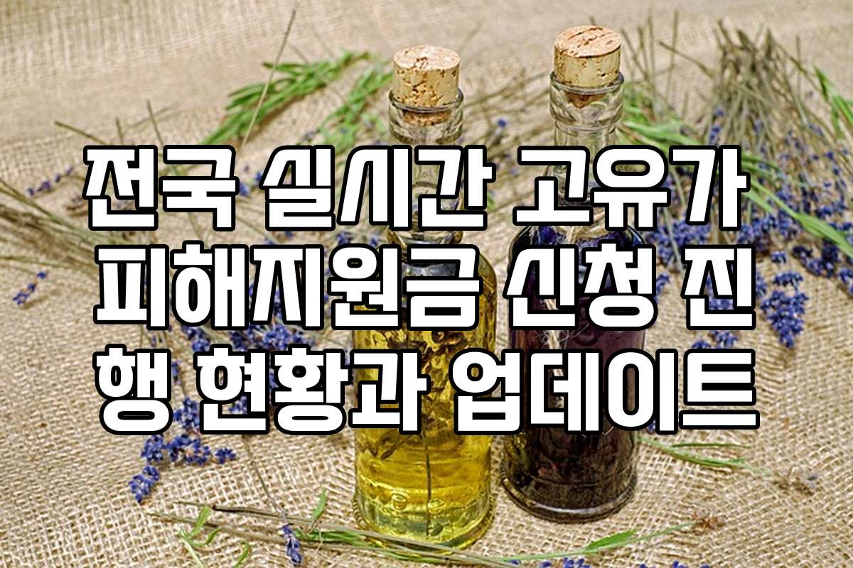전국 실시간 고유가 피해지원금 신청 진행 현황과 업데이트