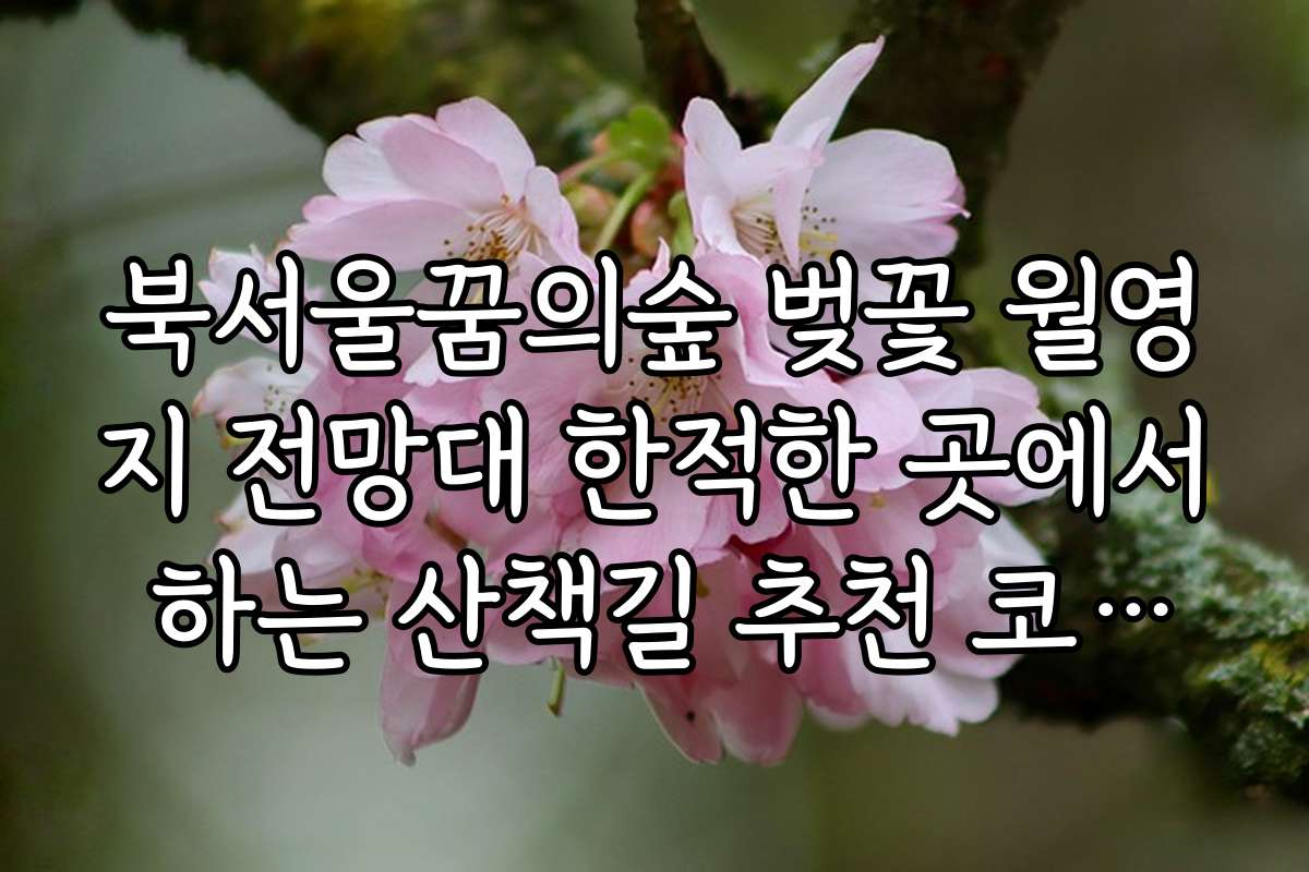 북서울꿈의숲 벚꽃 월영지 전망대 한적한 곳에서 하는 산책길 추천 코스와 거리
