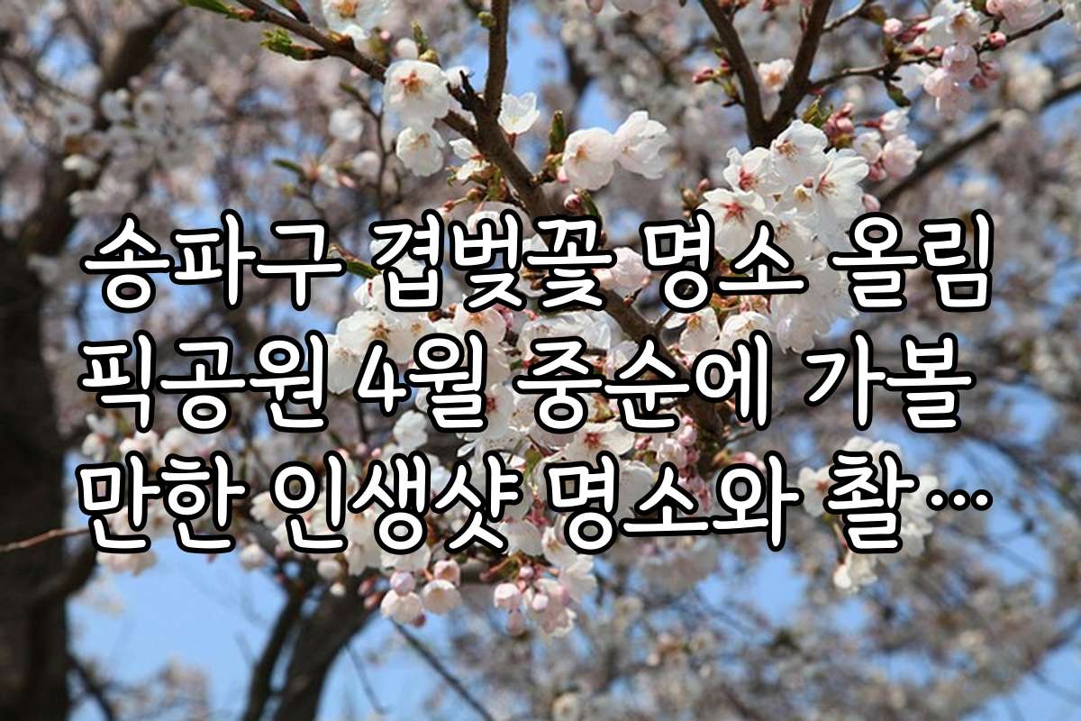 송파구 겹벚꽃 명소 올림픽공원 4월 중순에 가볼 만한 인생샷 명소와 촬영 팁