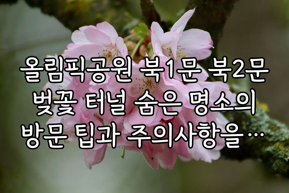 올림픽공원 북1문 북2문 벚꽃 터널 숨은 명소의 방문 팁과 주의사항을 알려주세요