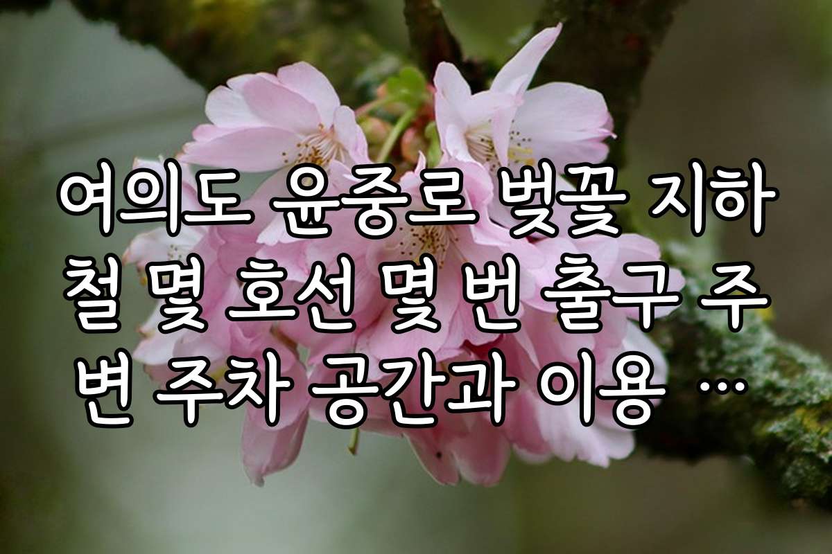 여의도 윤중로 벚꽃 지하철 몇 호선 몇 번 출구 주변 주차 공간과 이용 팁을 알려주세요