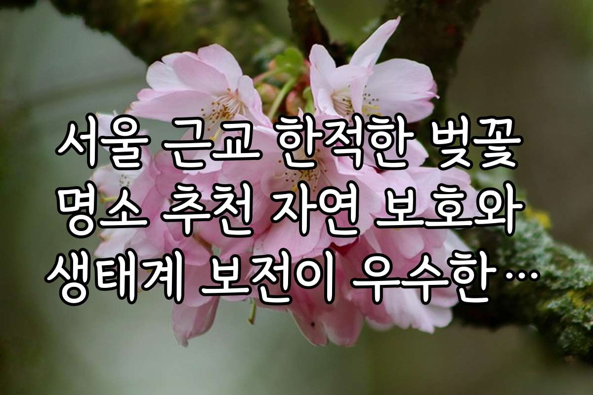 서울 근교 한적한 벚꽃 명소 추천 자연 보호와 생태계 보전이 우수한 곳들