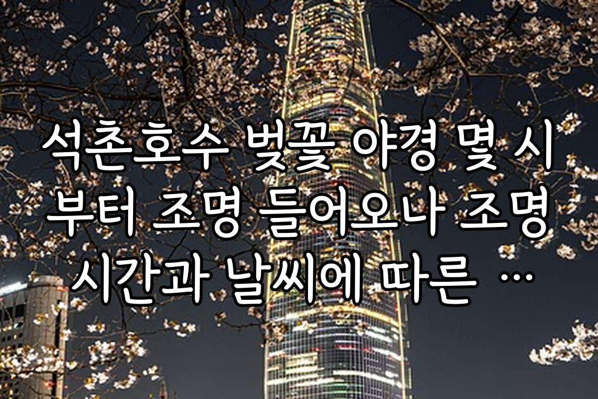 석촌호수 벚꽃 야경 몇 시부터 조명 들어오나 조명 시간과 날씨에 따른 조명 효과 차이 알아보기