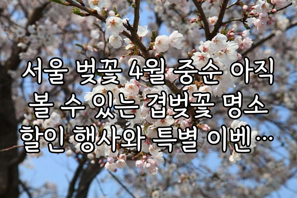 서울 벚꽃 4월 중순 아직 볼 수 있는 겹벚꽃 명소 할인 행사와 특별 이벤트 정보