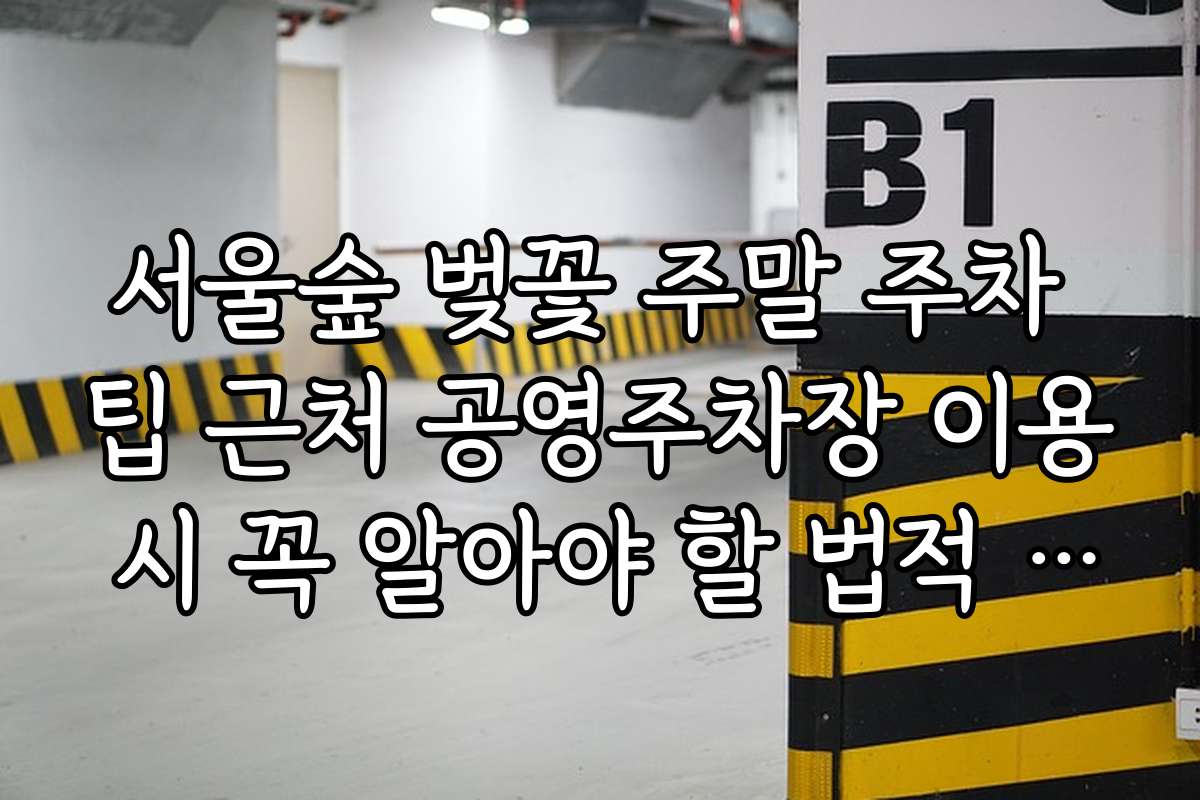 서울숲 벚꽃 주말 주차 팁 근처 공영주차장 이용 시 꼭 알아야 할 법적 사항