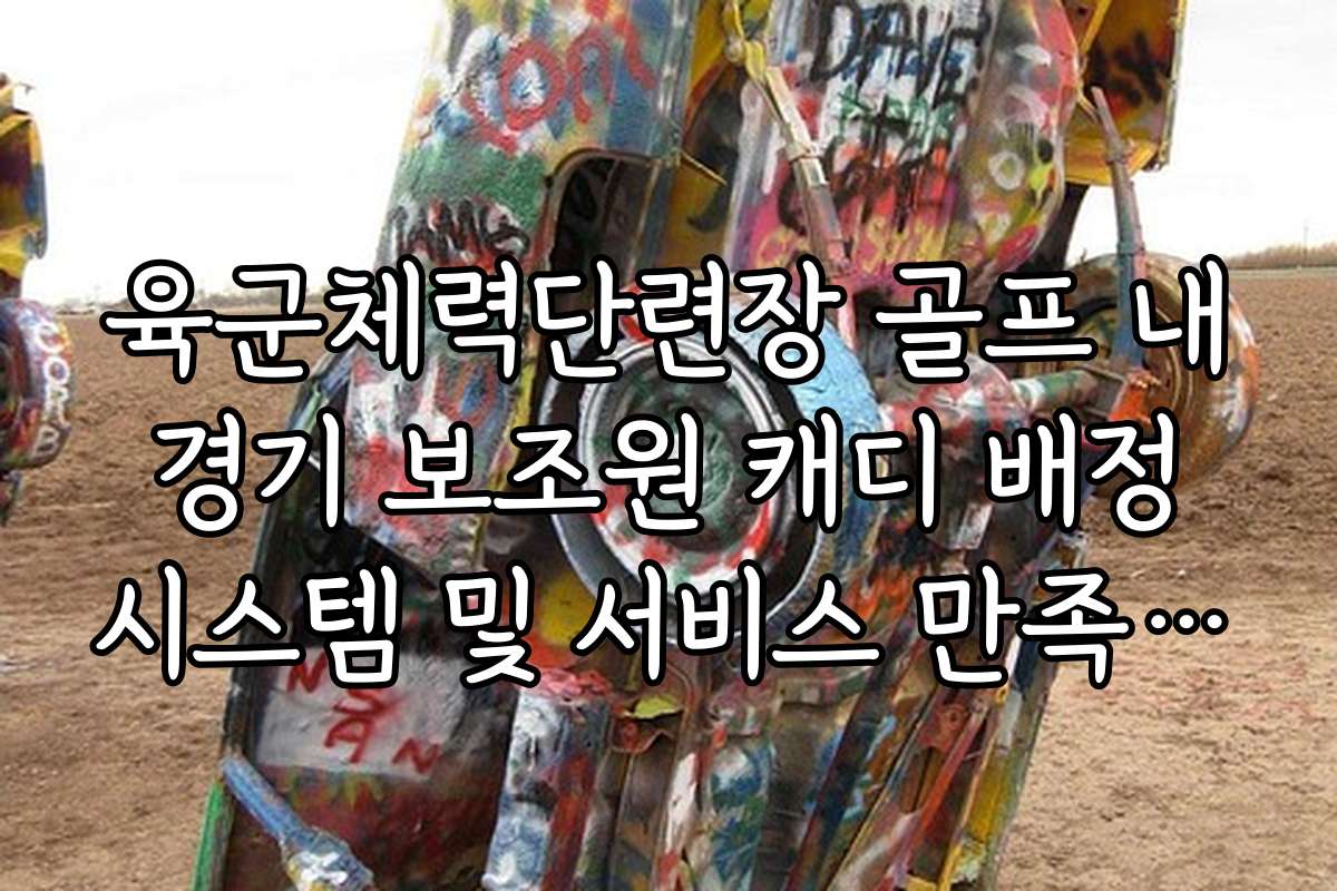 육군체력단련장 골프 내 경기 보조원 캐디 배정 시스템 및 서비스 만족도 조사