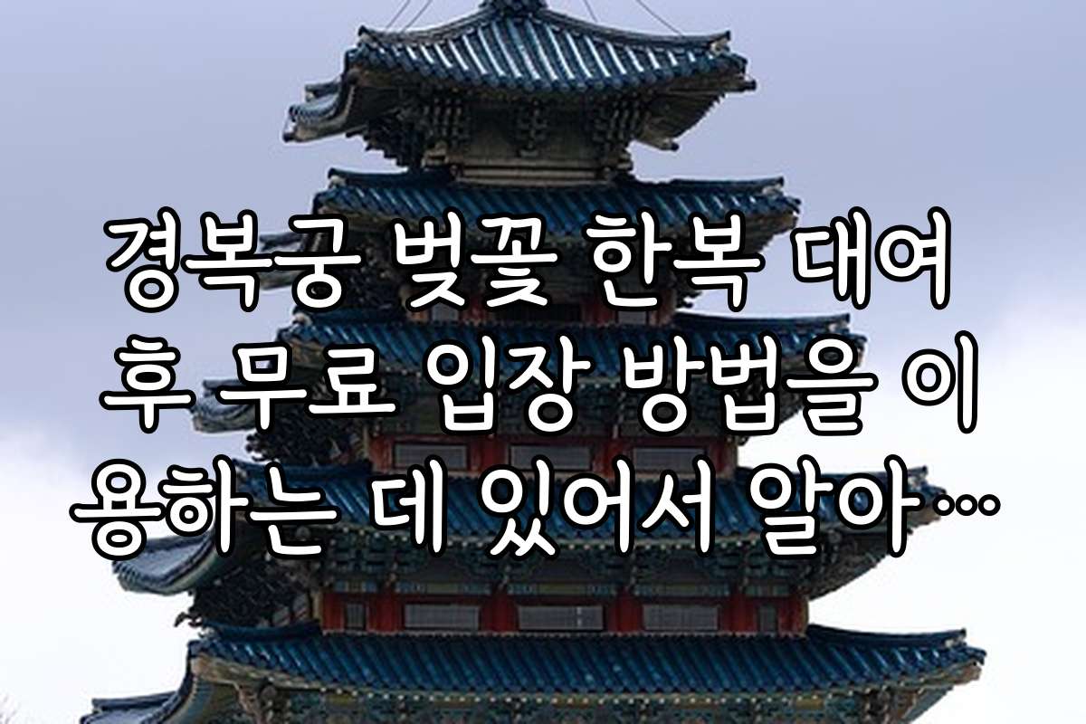 경복궁 벚꽃 한복 대여 후 무료 입장 방법을 이용하는 데 있어서 알아두면 좋은 실수 방지 팁
