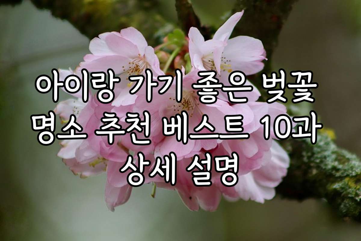 아이랑 가기 좋은 벚꽃 명소 추천 베스트 10과 상세 설명