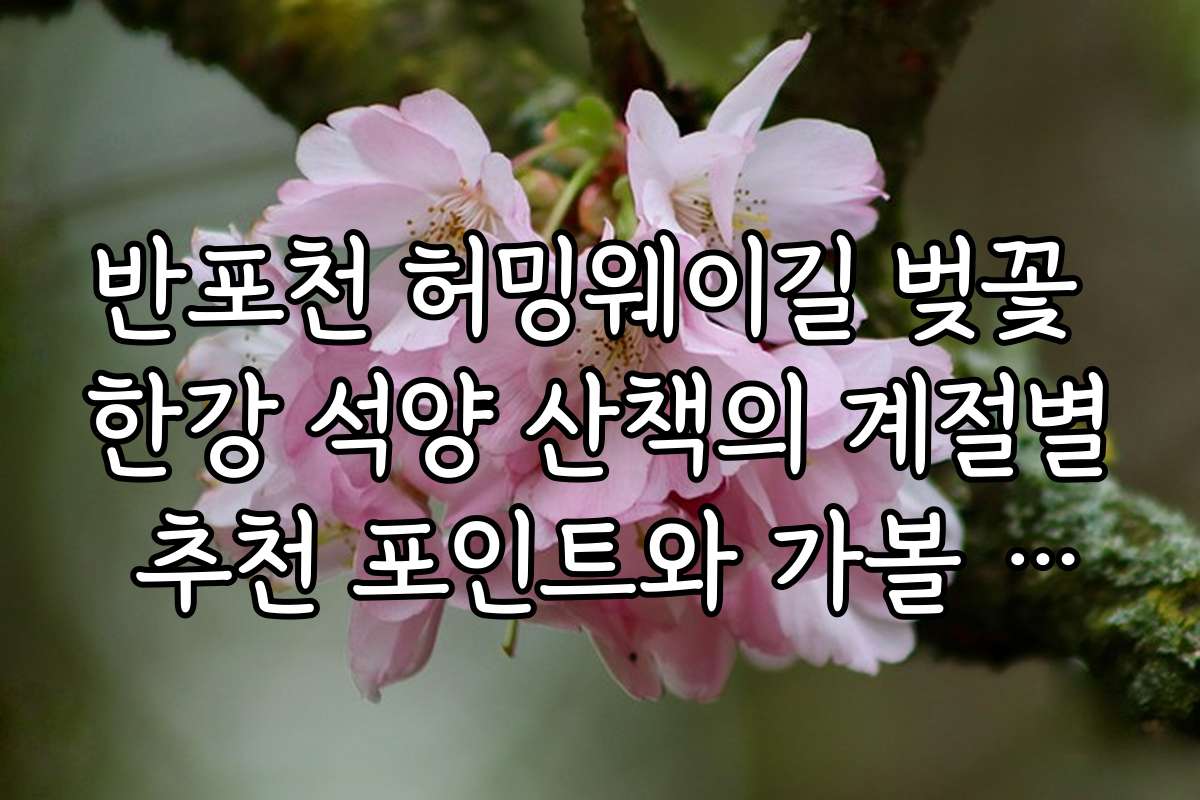 반포천 허밍웨이길 벚꽃 한강 석양 산책의 계절별 추천 포인트와 가볼 만한 특별 이벤트는?