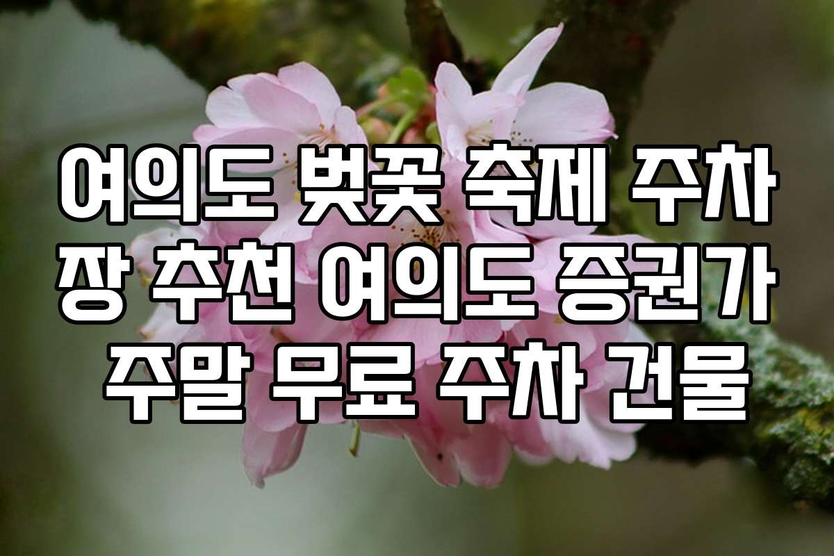 여의도 벚꽃 축제 주차장 추천 여의도 증권가 주말 무료 주차 건물