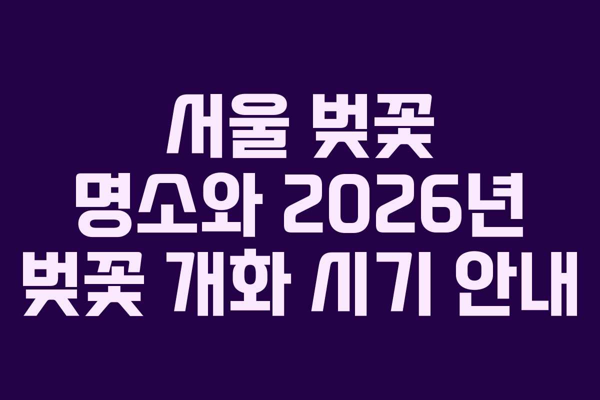 서울 벚꽃 명소와 2026년 벚꽃 개화 시기 안내