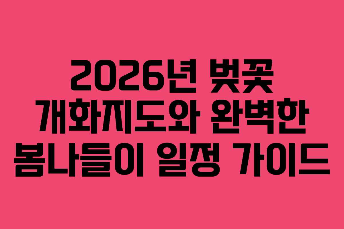 2026년 벚꽃 개화지도와 완벽한 봄나들이 일정 가이드