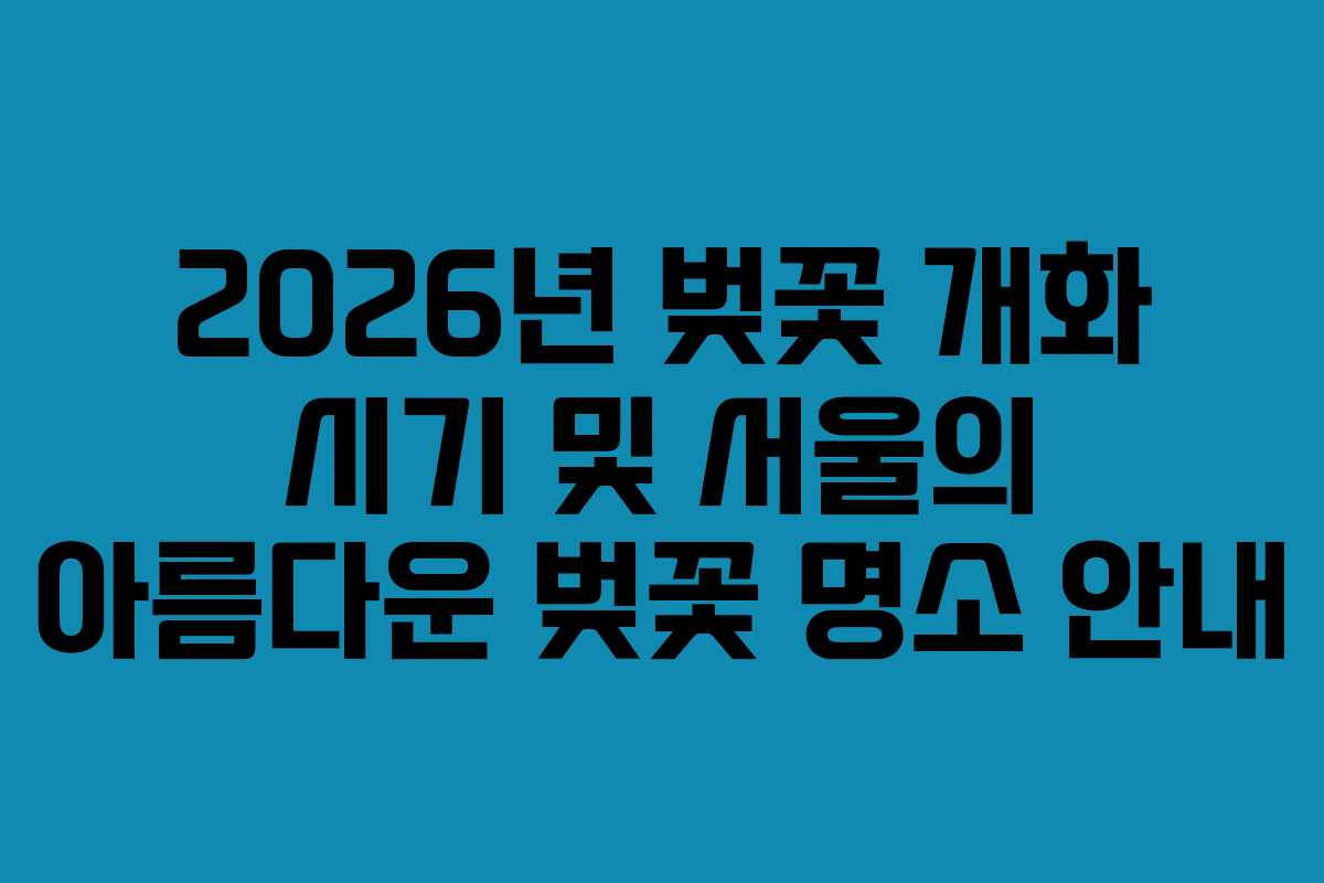 2026년 벚꽃 개화 시기 및 서울의 아름다운 벚꽃 명소 안내