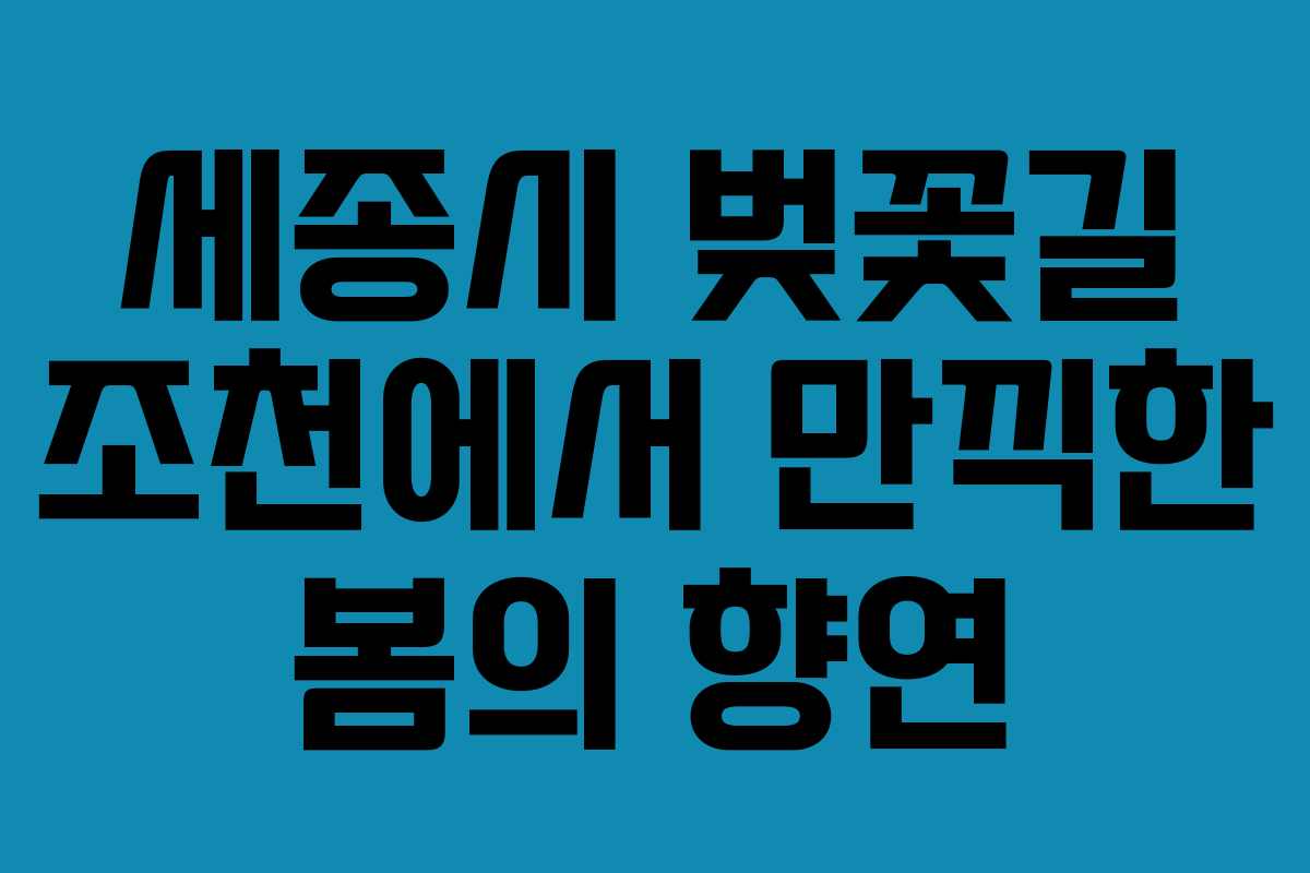 세종시 벚꽃길 조천에서 만끽한 봄의 향연