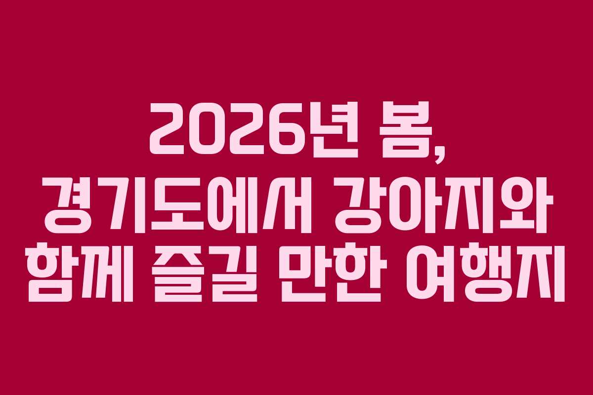 2026년 봄, 경기도에서 강아지와 함께 즐길 만한 여행지