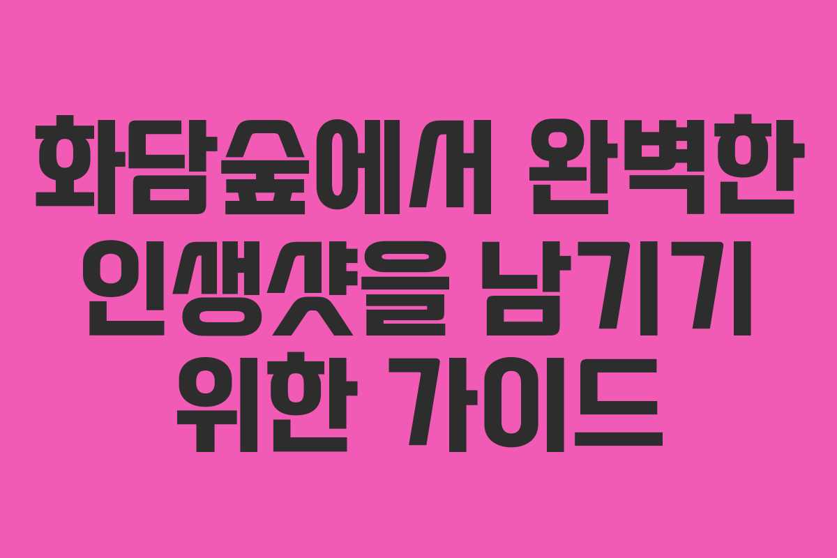 화담숲에서 완벽한 인생샷을 남기기 위한 가이드