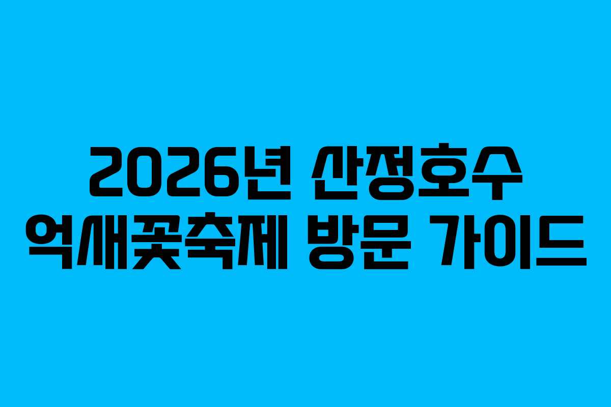 2026년 산정호수 억새꽃축제 방문 가이드