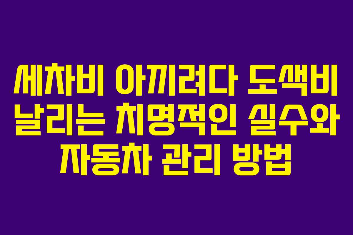 세차비 아끼려다 도색비 날리는 치명적인 실수와 자동차 관리 방법