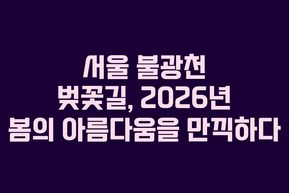 서울 불광천 벚꽃길, 2026년 봄의 아름다움을 만끽하다