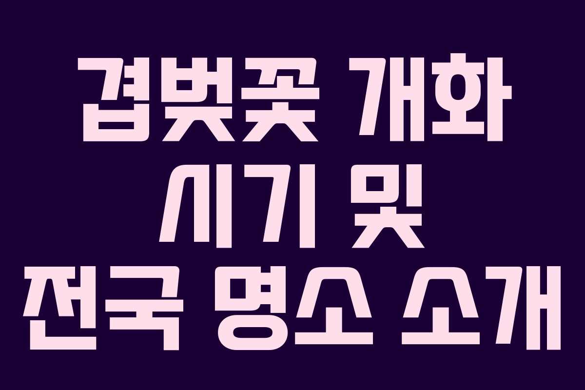 겹벚꽃 개화 시기 및 전국 명소 소개