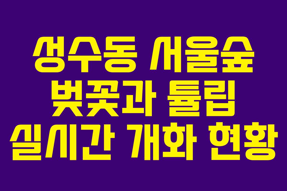 성수동 서울숲 벚꽃과 튤립 실시간 개화 현황