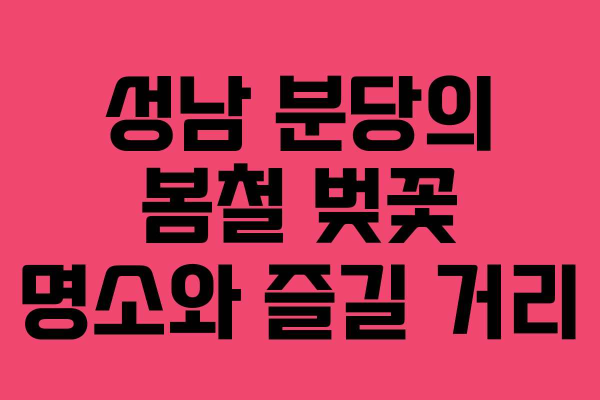 성남 분당의 봄철 벚꽃 명소와 즐길 거리