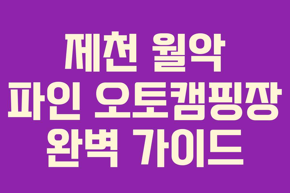 제천 월악 파인 오토캠핑장 완벽 가이드