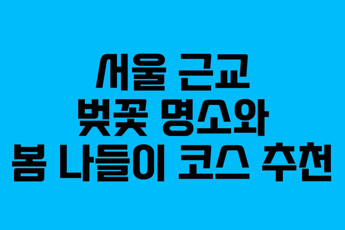 서울 근교 벚꽃 명소와 봄 나들이 코스 추천