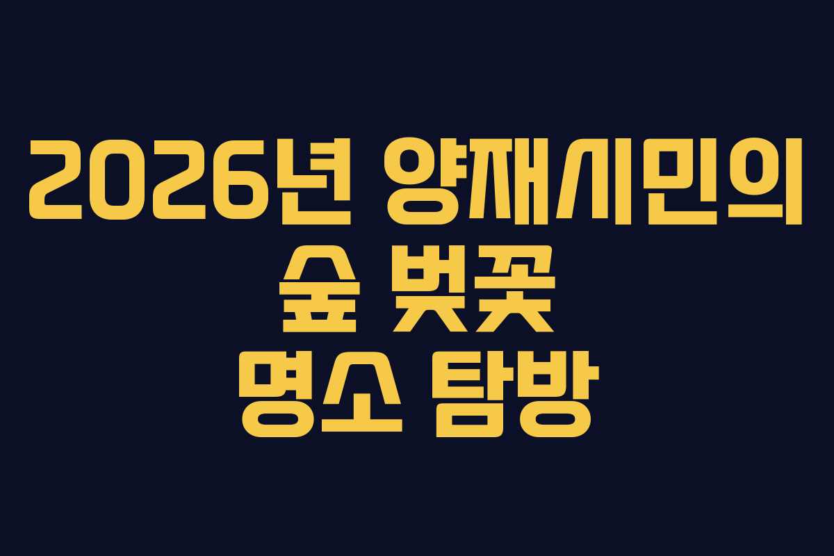 2026년 양재시민의 숲 벚꽃 명소 탐방