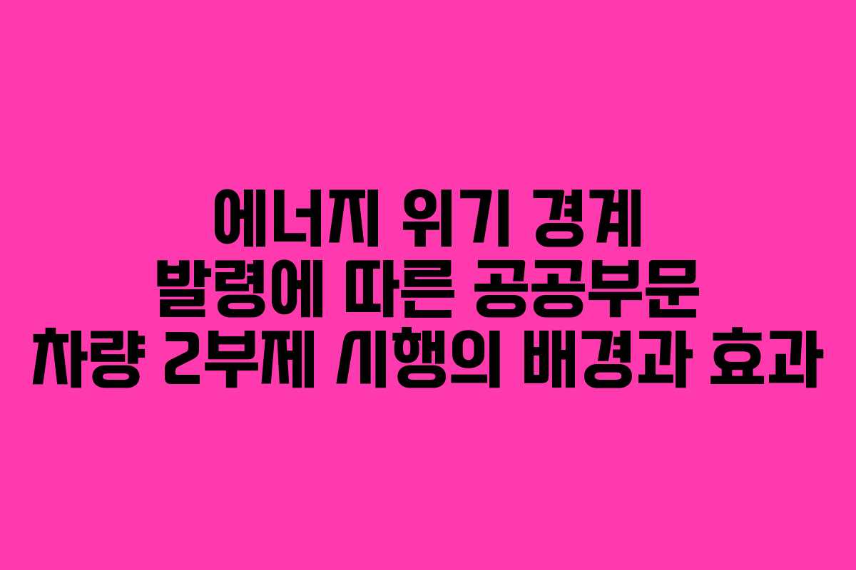 에너지 위기 경계 발령에 따른 공공부문 차량 2부제 시행의 배경과 효과 에너지 위기 경계 발령에 따른 공공부문 차량 2부제 시행의 배경과 효과