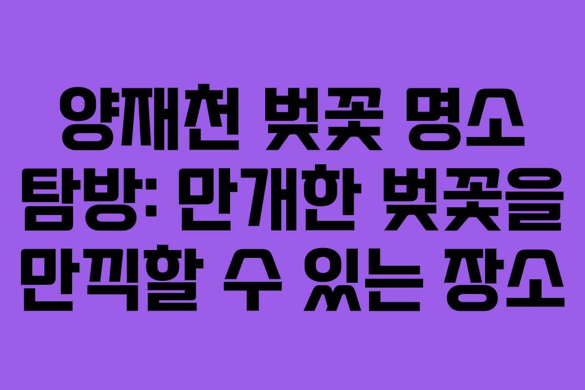 양재천 벚꽃 명소 탐방: 만개한 벚꽃을 만끽할 수 있는 장소