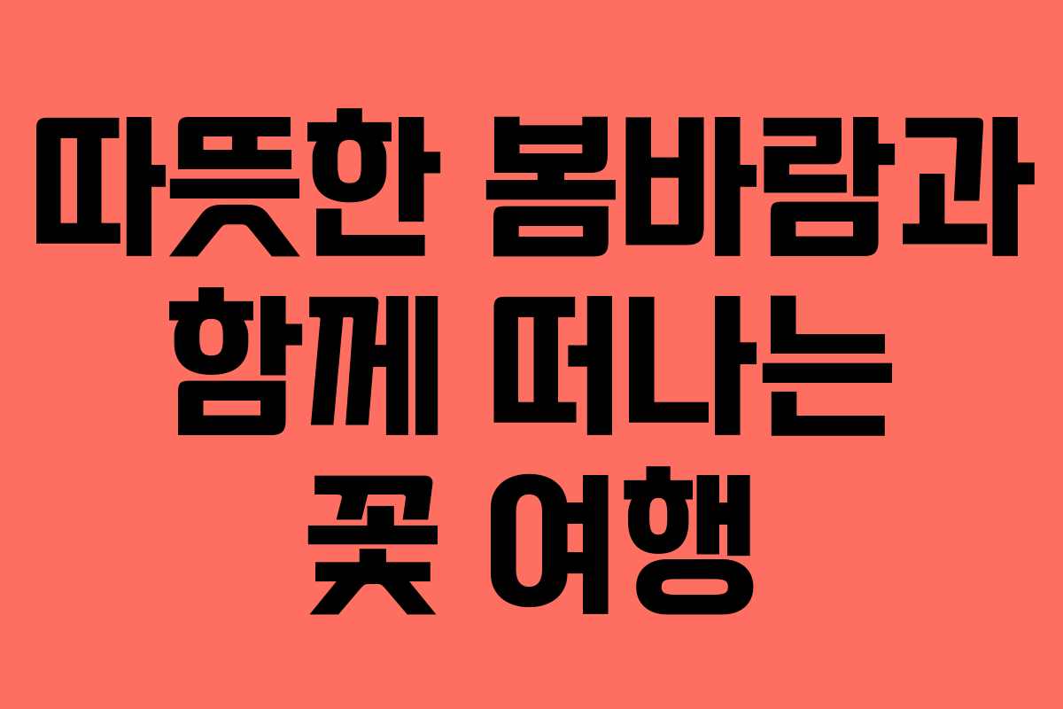 따뜻한 봄바람과 함께 떠나는 꽃 여행 따뜻한 봄바람과 함께 떠나는 꽃 여행