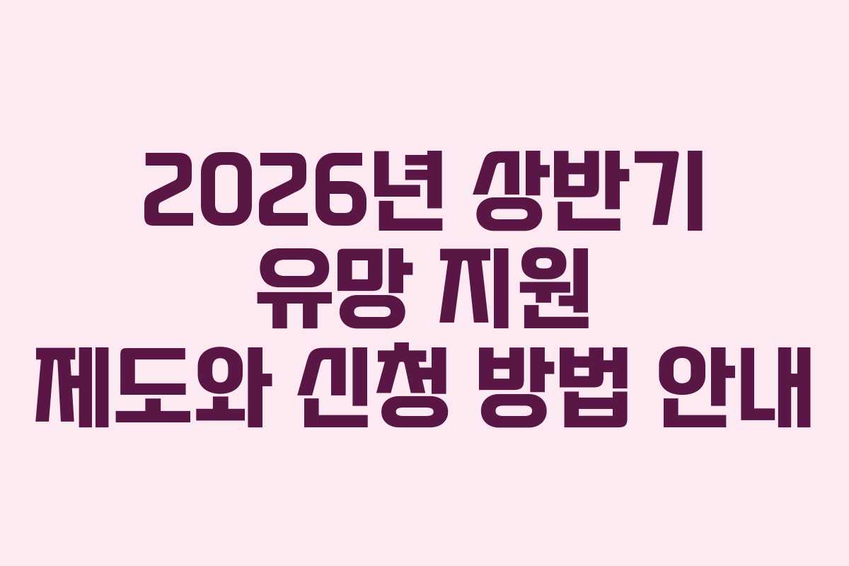 2026년 상반기 유망 지원 제도와 신청 방법 안내