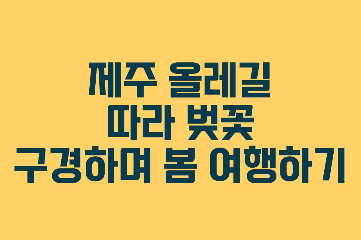 제주 올레길 따라 벚꽃 구경하며 봄 여행하기