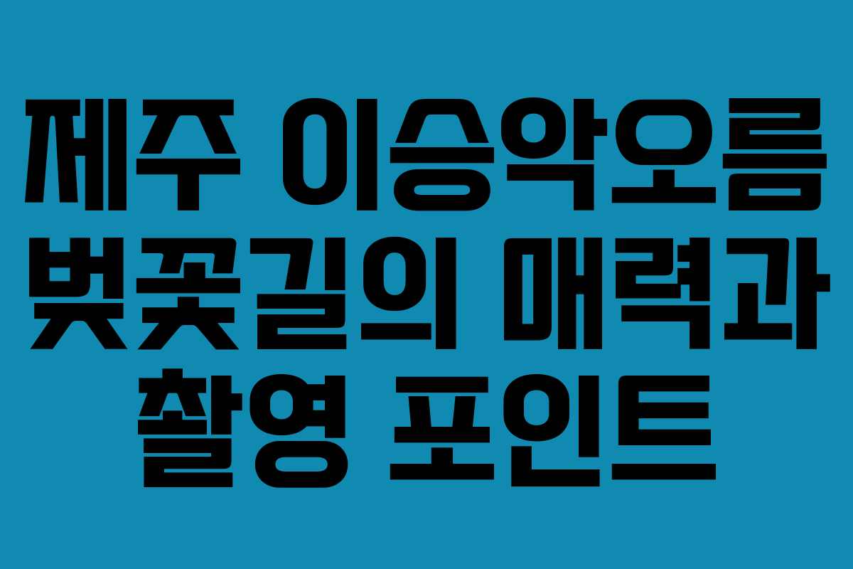 제주 이승악오름 벚꽃길의 매력과 촬영 포인트