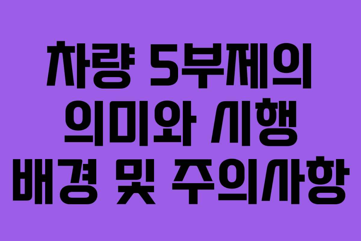 차량 5부제의 의미와 시행 배경 및 주의사항