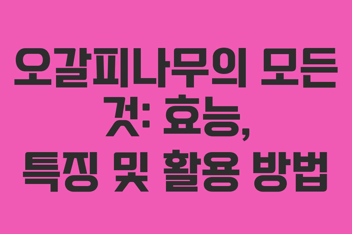 오갈피나무의 모든 것: 효능, 특징 및 활용 방법