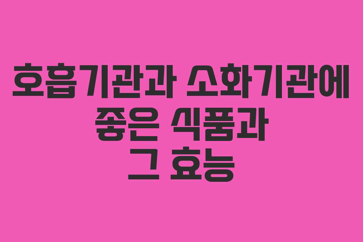 호흡기관과 소화기관에 좋은 식품과 그 효능