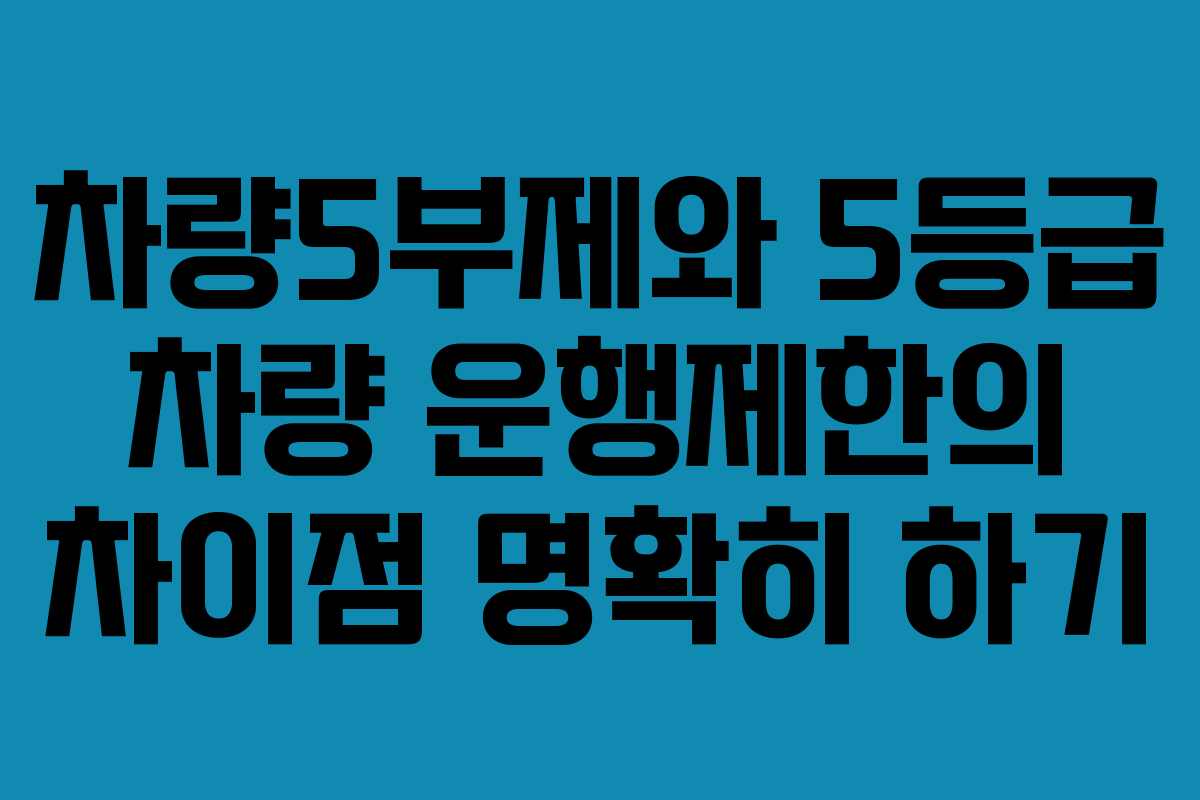 차량5부제와 5등급 차량 운행제한의 차이점 명확히 하기