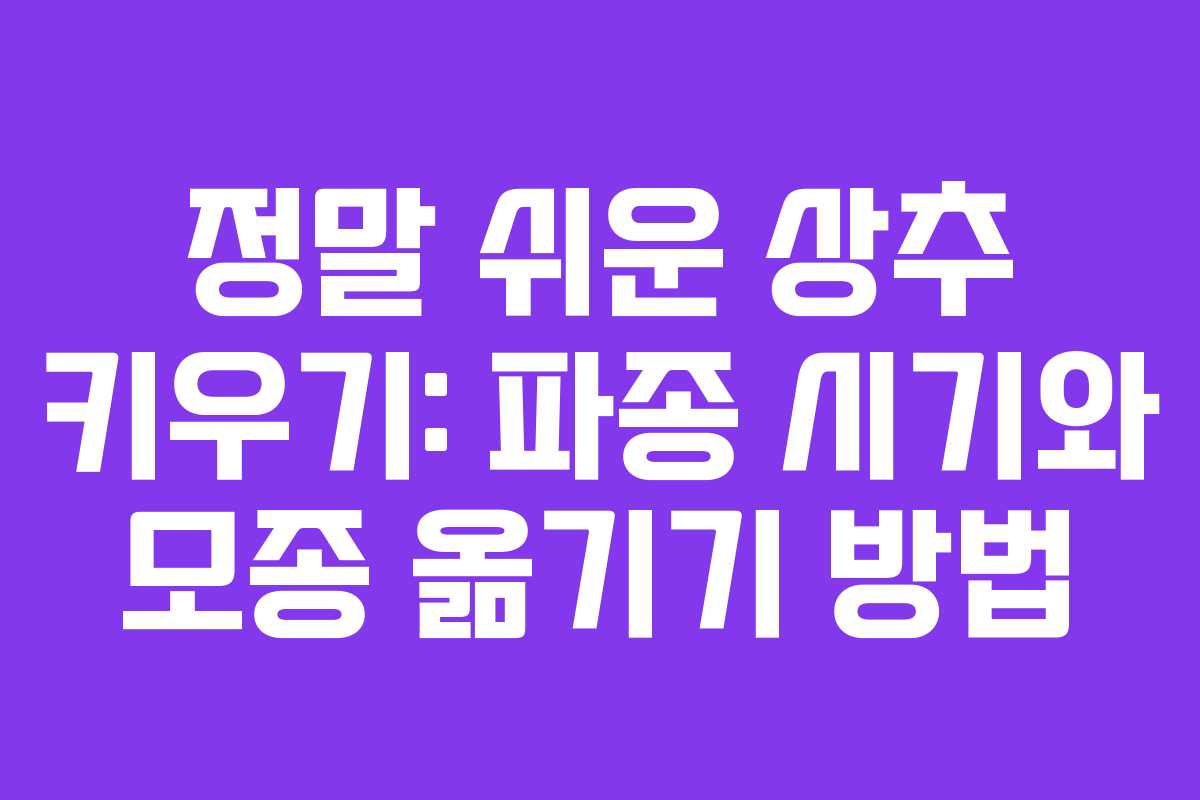 정말 쉬운 상추 키우기: 파종 시기와 모종 옮기기 방법