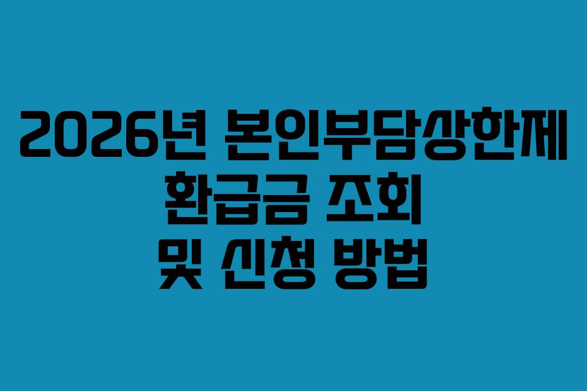 2026년 본인부담상한제 환급금 조회 및 신청 방법