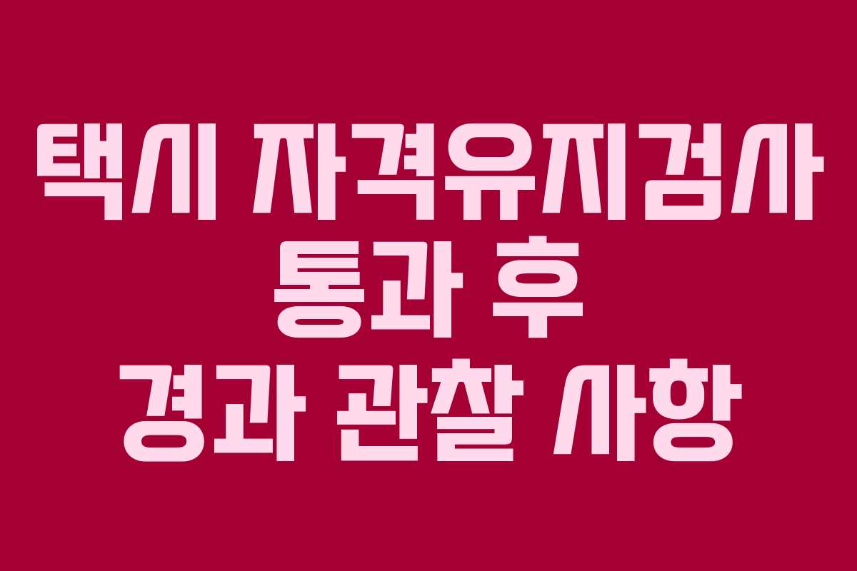 택시 자격유지검사 통과 후 경과 관찰 사항 택시 자격유지검사 통과 후 경과 관찰 사항