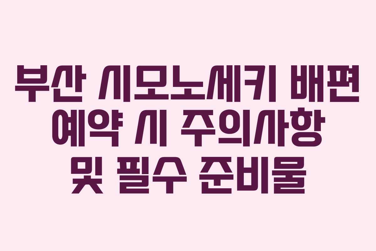 부산 시모노세키 배편 예약 시 주의사항 및 필수 준비물