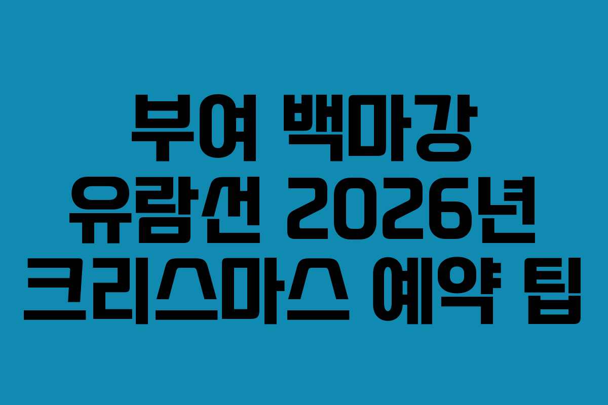 부여 백마강 유람선 2026년 크리스마스 예약 팁