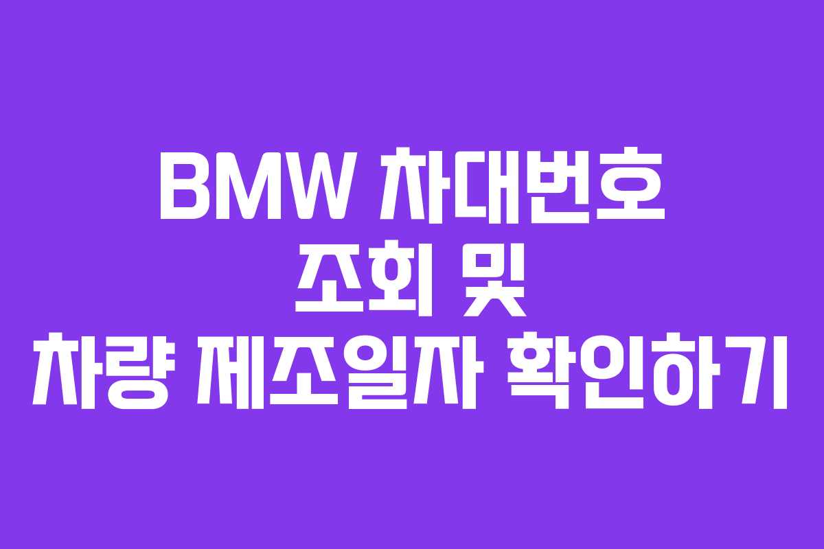 BMW 차대번호 조회 및 차량 제조일자 확인하기