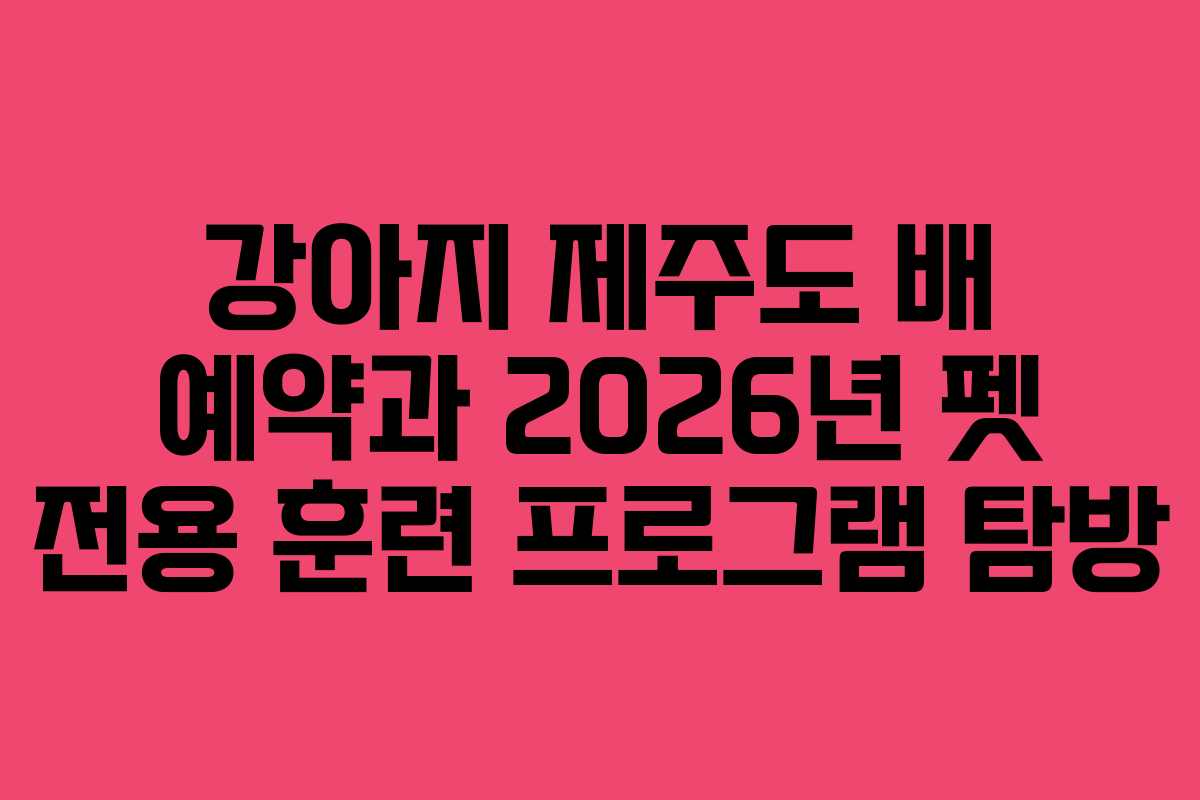 강아지 제주도 배 예약과 2026년 펫 전용 훈련 프로그램 탐방